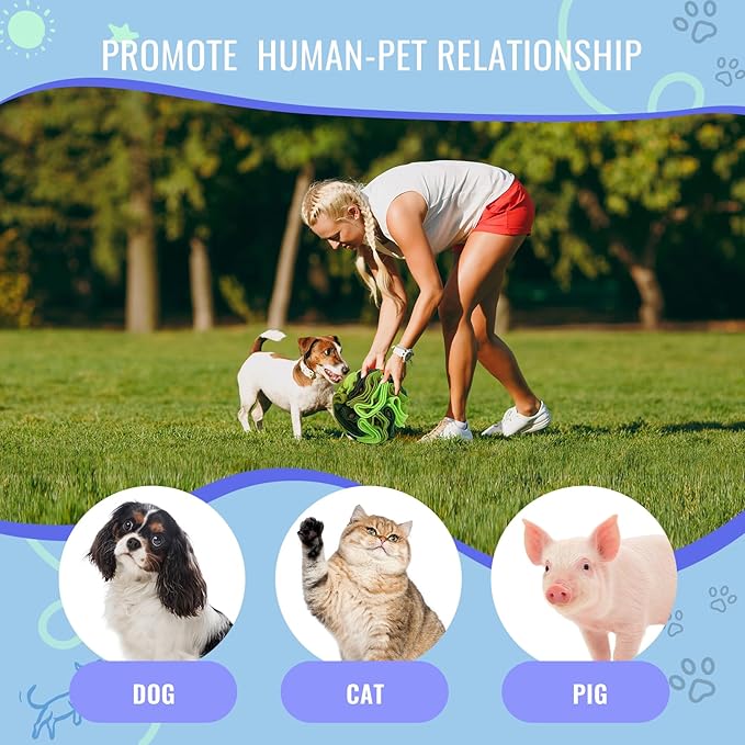 Pet Snuffle Ball, Puzzle Sniffing Interactive Dog Ball for Blind Dogs Training Stress Relief Dog Enrichment Toys Treat Machine Washable (20cm, Gradient Green)