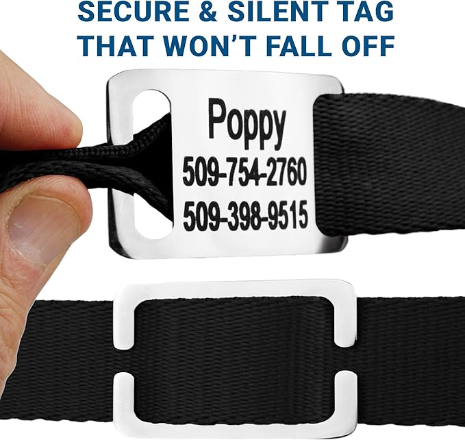 GoTags Personalized Dog Collar with Nameplate, Adjustable Dog Collar with Custom Engraved Slide On Pet ID Tag in Stainless Steel, Silent, No Noise Dog Tag (Hunter Green, Small)