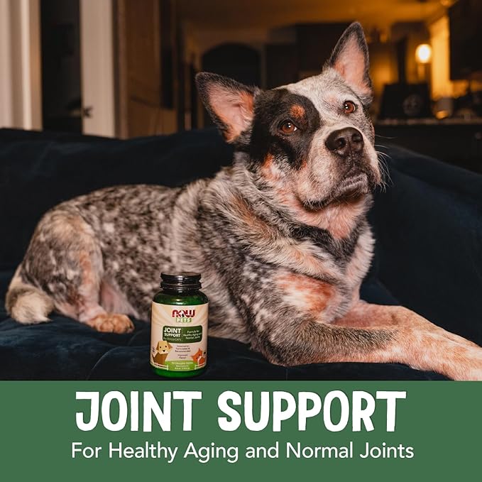 NOW Pet Health, Joint Support Supplement, Formulated for Cats & Dogs, NASC Certified, 90 Chewable Tablets