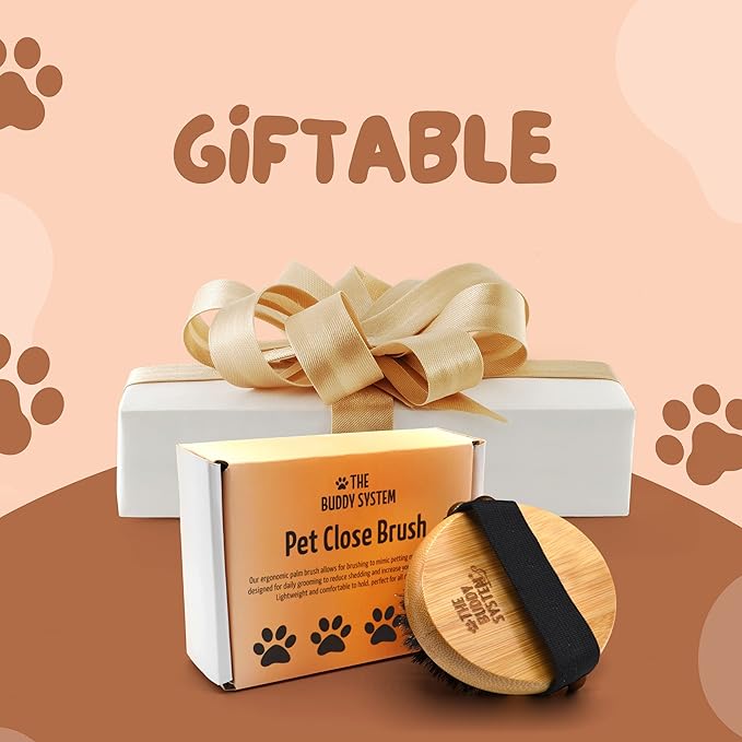 The Buddy System Pet Close Brush, Soft Touch Oval Palm Brush - Bamboo Massage Handheld with Soft Boar Bristles and Elastic Band for Dogs and Cats 2 Pack