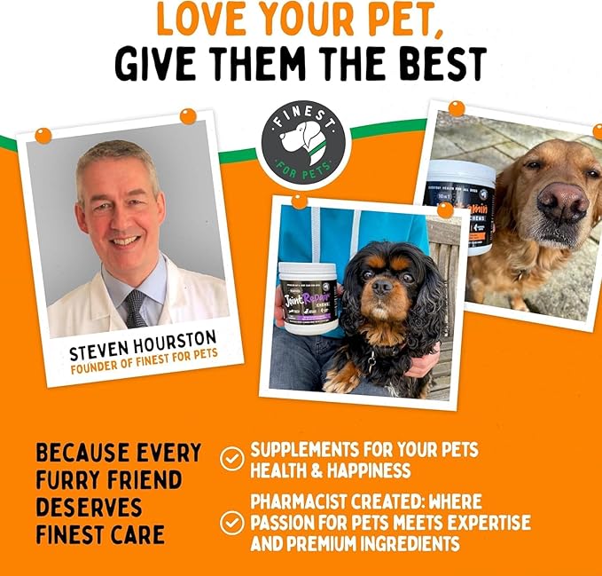 TummyWorks Probiotic Powder for Dogs & Cats. Probiotics For Digestive Health, Immune Support, Diarrhea, Gas, Itching & Seasonal Allergies. With Digestive Enzymes & Prebiotics. Made in USA - 160 Scoops