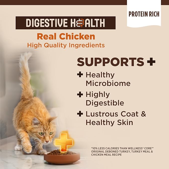 Wellness CORE+ Adult Dry Cat Food for Indoor and Outdoor Cats, Wholesome Grains, Natural, Digestive Health Chicken & Rice (5 Pound Bag)