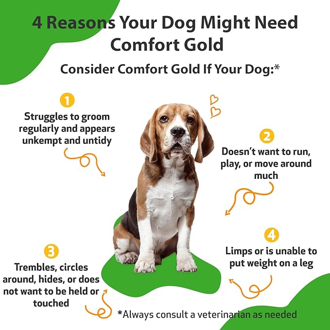Pet Wellbeing Comfort Gold for Dogs - Supports Canine Physical Comfort, Healthy Circulation, Corydalis, Turmeric - Veterinarian-Formulated Herbal Supplement 2 oz (59 ml)