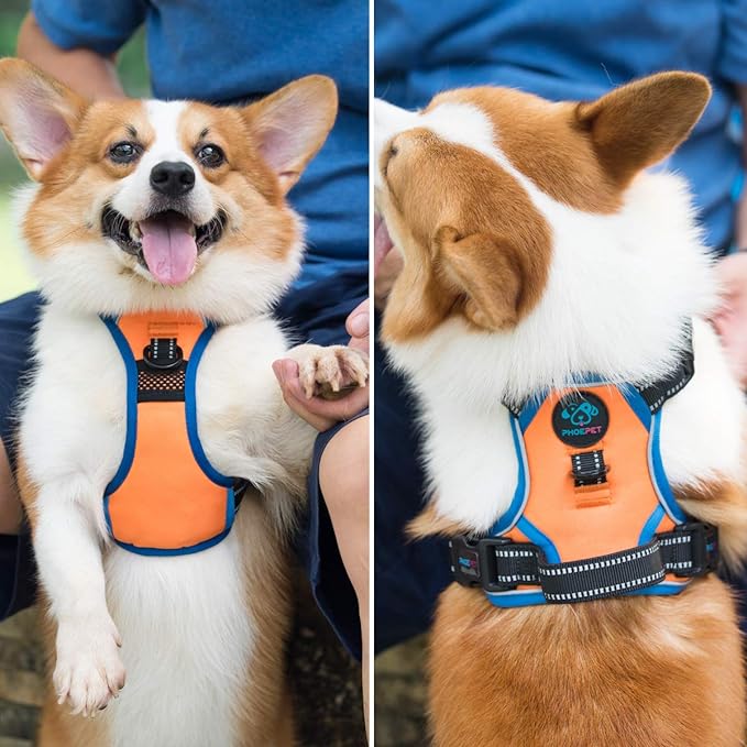 PHOEPET 2019 Reflective Dog Harness Large Breed Adjustable No Pull Vest with with Handle 2 Metal Rings 3 Buckles [Easy to Put on & Take Off](XL,Orange)