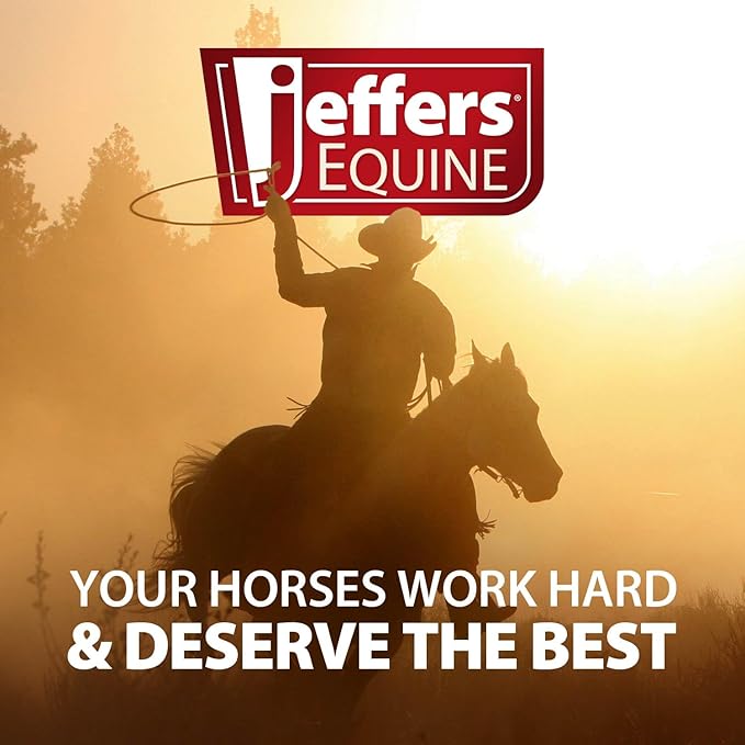 Jeffers Motion Potion Pellets Joint Supplement for Horses, 3.1lb- Glucosamine, MSM, Chondroitin, Hyaluronic Acid, & Vitamins. Daily Supplement for Safe, Easy to Feed, Fast Acting for Equine.