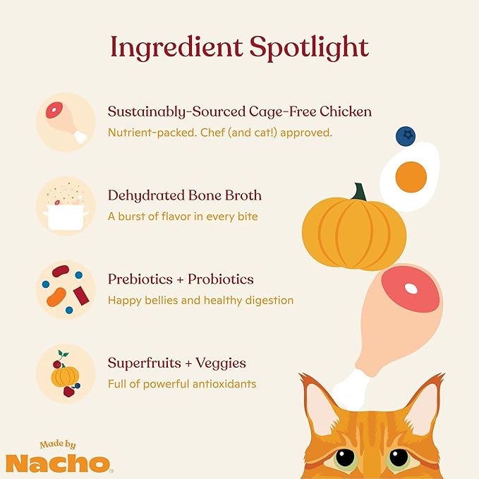 Made by Nacho Dry Cat Kibble 2lb Bag, High Protein and Grain-Friendly Premium Cat Food, Cage-Free Chicken & Pumpkin Recipe, Infused with Bone Broth for Hydration, Limited Ingredients, Single Bag