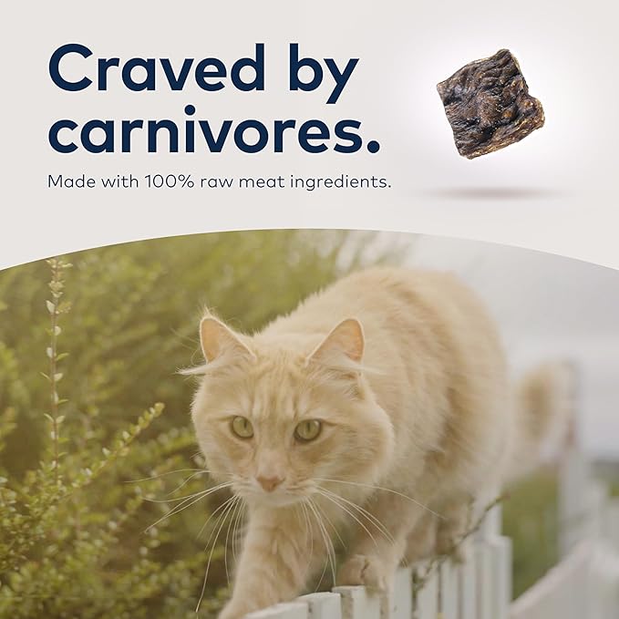 ZIWI Peak Air-Dried Cat Food – Lamb - All Natural, High Protein, Grain Free, Limited Ingredient w/ Superfoods (14oz)