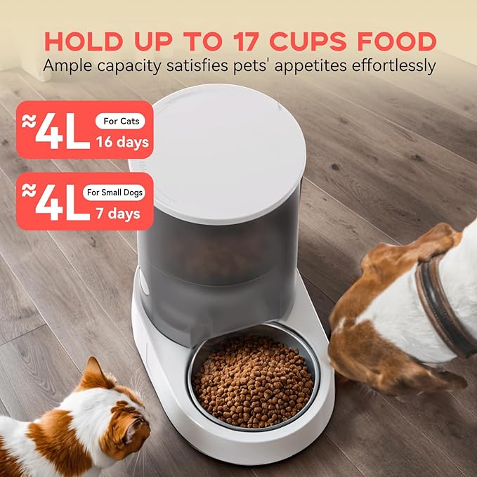 PAPIFEED Automatic Cat Feeder, 4L Auto Dog Cat Feeder with Rechargeable Battery & Dual-Band WiFi (2.4G & 5G), Automatic Pet Food Dispenser for Outdoor Travel Home - Ceramic Bowl Included