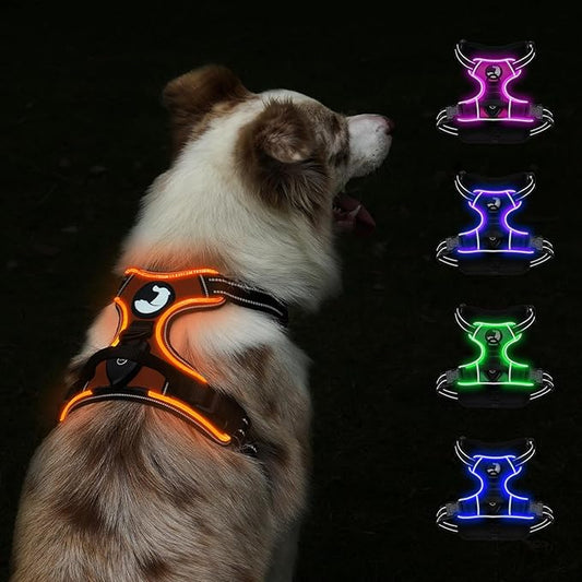 Taglory Light Up Dog Harness, Rechargeable No Pull Dog Vest with 3 Lightning Modes, Reflective Dog Harness with 2 Leash Clips & 4 Adjustable Slide Strips for Medium Dogs, Orange-Orange, M