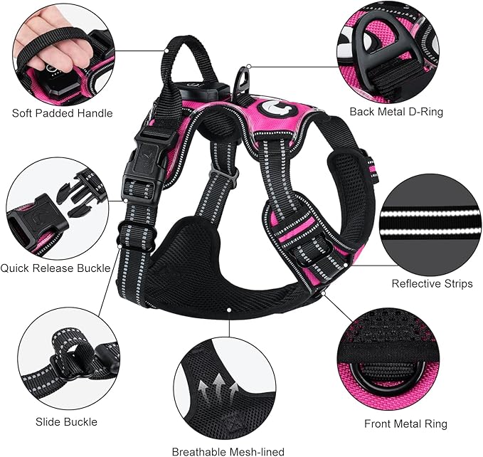 Taglory Light Up Dog Harness, Rechargeable No Pull Dog Vest with 3 Lightning Modes, Reflective Dog Harness with 2 Leash Clips & 4 Adjustable Slide Strips for Large Dogs, Hotpink-Hotpink, L