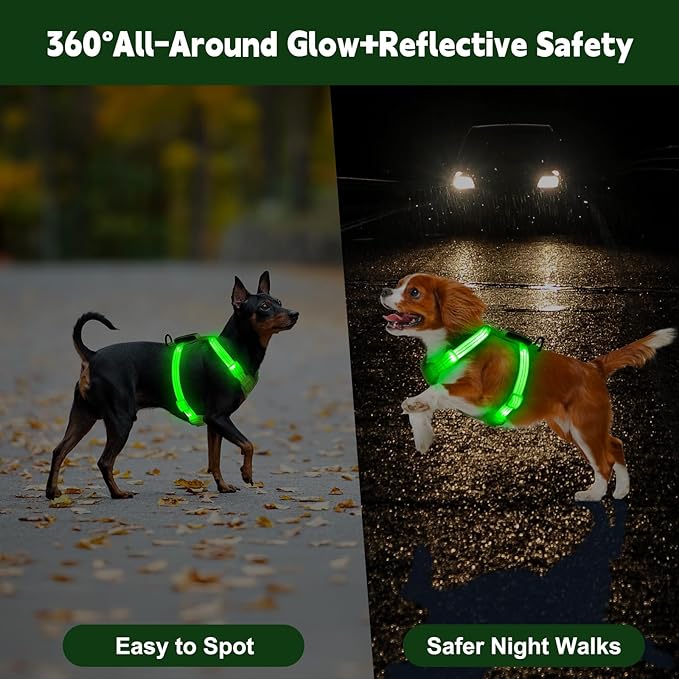 Rechargeable Light Up Dog Harness for Small Dogs – Adjustable LED Dog Vest with Reflective Strips, No Pull Glow in The Dark Puppy Harness for Night Walking Safety-Green