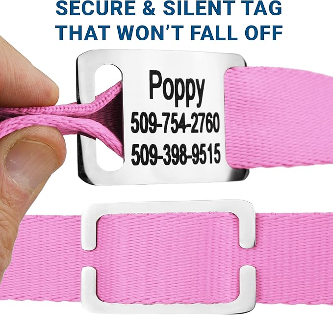 GoTags Personalized Dog Collar with Nameplate, Adjustable Dog Collar with Custom Engraved Slide On Pet ID Tag in Stainless Steel, Silent, No Noise Dog Tag for Large Medium and Small (Pink, Small)