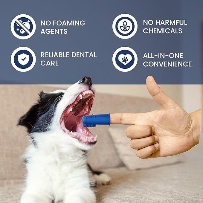 Rad Health Dental Kit - Dog Toothbrush and Toothpaste Kit for Daily Oral Care, Dual Brushes for Deep Cleaning, Safe for Cats & Dogs, Reduces Bad Breath, Prevents Gum Disease