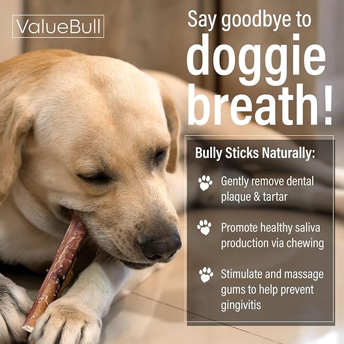 ValueBull Bully Sticks for Dogs, Medium 12 Inch, 25 Count - All Natural, Grass Fed, Single Ingredient, Long Lasting Dog Treats