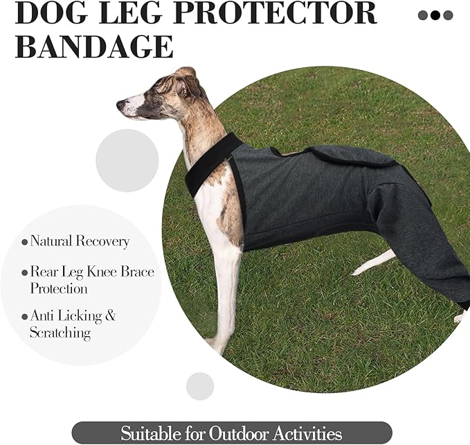 ROZKITCH Dog Surgery Leg Sleeve Rear Legs, Male Female Pet Prevent Licking Wound Elbow Knee Protector, Dog Recovery Suit Cone Collar Alternative Pants Shirt for Wound Heal Wrap Grey L