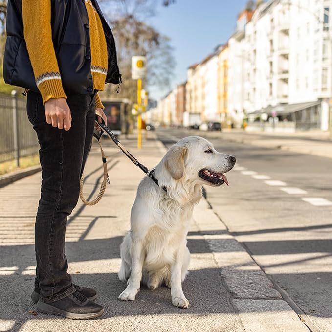 Heavy Duty Tactical Bungee Dog Leash, 4-6FT Shock Absorbing Tactical Leash with 2 Padded Handles, Metal Carabiner Clip,Car Seatbelt, Reflective Dog Leashes for Medium Large Dogs (Brown)