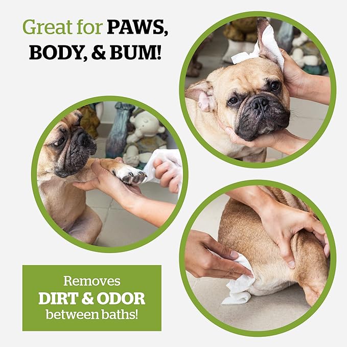 Pogi’s Dog Wipes Travel Packs – Hypoallergenic Pet Wipes for Paws, Body & Butt – Cleaning & Hydrating, Green Tea Scent, 240-Count