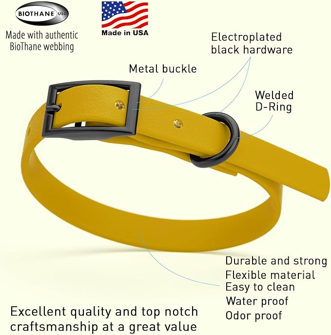 Dogline Biothane Waterproof Dog Collar Strong Coated Nylon Webbing with Black Hardware Odor- Proof for Easy Care Easy to Clean High Performance Fits Small Medium or Large Dogs, Treasure Gold