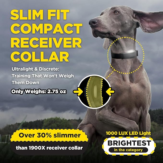Dogtra ARC-X E-Collar for Dog Training - 3/4 Mile Range, for Dogs 15 lbs+, Slim Design, IPX9K Waterproof, 100 Stimulation Levels, Vibration, Tone, Rechargeable - Dog Owners and Professional Trainers