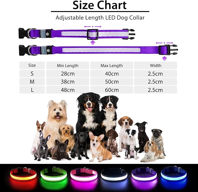 PcEoTllar Light up Dog Collar for Night Walking - LED Dog Collar Light Rechargeable Color Changing, Glow in The Dark Dog Collars Waterproof Glowing Dog Collars for Large Small Medium Dogs, Purple S