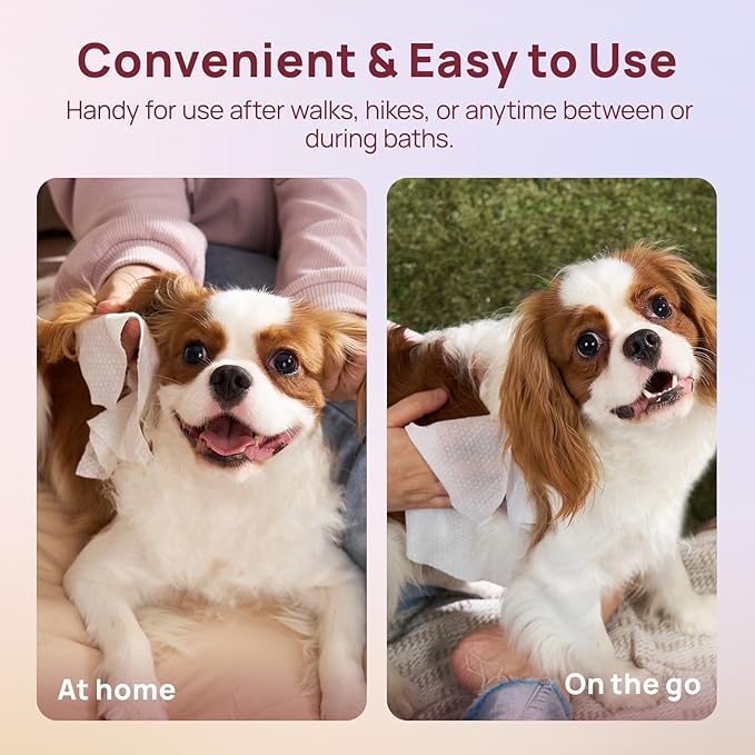 HICC PET Wipes for Dogs and Cats, Vet-Recommended Pets Cleaning Wipes, Deodorizing Hydrating, Nourishes Smoothes Fur, Fermented Coconut Oil Grooming Paws, Body and Butt, Thicken, Rose, 100 Count