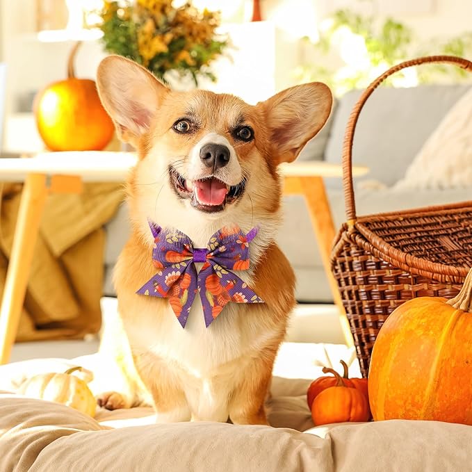 Talltalk 360 Pcs Halloween Dog Bow Ties Collars Set Adjustable Thanksgiving Christmas Fall Xmas Dogs Neckties Grooming Accessories for Small Medium Large Pet Cat Decoration(Thanksgiving)