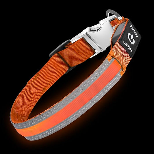 PetIsay LED Dog Collar Metal Buckle - Heavy Duty Light up Collars - Rechargeable IP68 Waterproof - Lighted Dog Collar for Night Walking, Hiking, Camping (Medium, Orange)