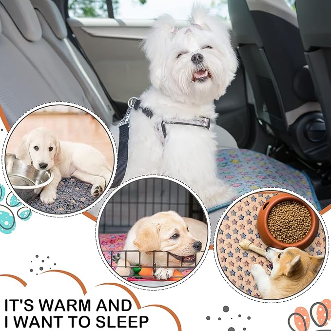 Reginary 4 Pcs Waterproof Guinea Pig Blankets Washable Small Animal Fleece Bedding Absorbent Guinea Pig Cage Liners Reusable Pet Pee Pad Sleep Mat for Hamster Ferret(Star Pattern,24 x 47 Inch)