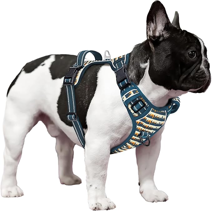 Timos Dog Harness, 3 Snap Buckles No-Pull Soft Padded Dog Vest with 2 Metal Leash Clips, Adjustable Reflective No Choke Pet Harness with Easy Control Handle for Small Dogs, Sunset Valley, S