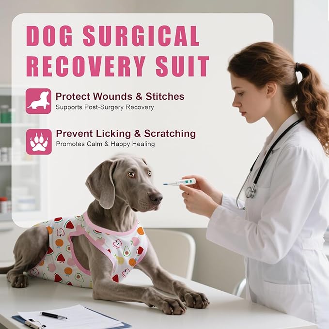 Recovery Suit for Dogs After Surgery, Professional Dog Surgical Suit for Female Spay, Male Neuter, E-Collar & Cone Alternative Dog Onesie for Abdominal Wounds Skin Disease, Fruit, L