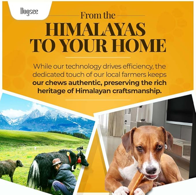 Dogsee Original Himalayan Yak Cheese Dog Chews (Small - 5 Bars) | Yak Chews for Small Dogs | Rawhide Free | Easily Digestible Dog Treats