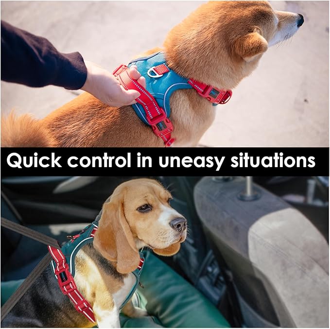 PHOEPET No Pull Dog Harness, Unique Colors Reflective Adjustable Dog Vest, with Soft Training Handle Metal Clips for Small Medium Large Dogs (Teal Base & Red Straps,L)