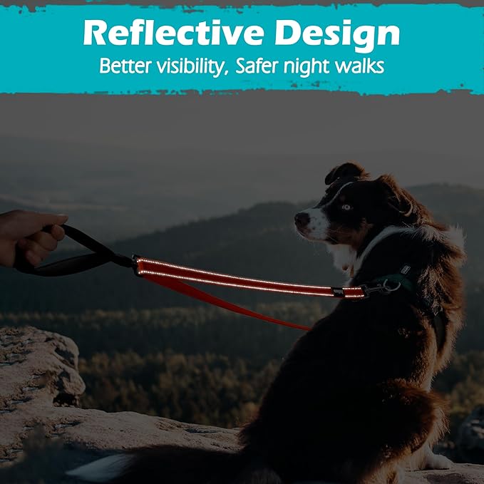 PetBonus Two Point Control Dog Leash, Works with No Pull Harnesses, No Tangle Training Leashes, Soft Padded and Reflective Walking Lead, Converts to Single Lead for Medium Large Dogs (Orange)