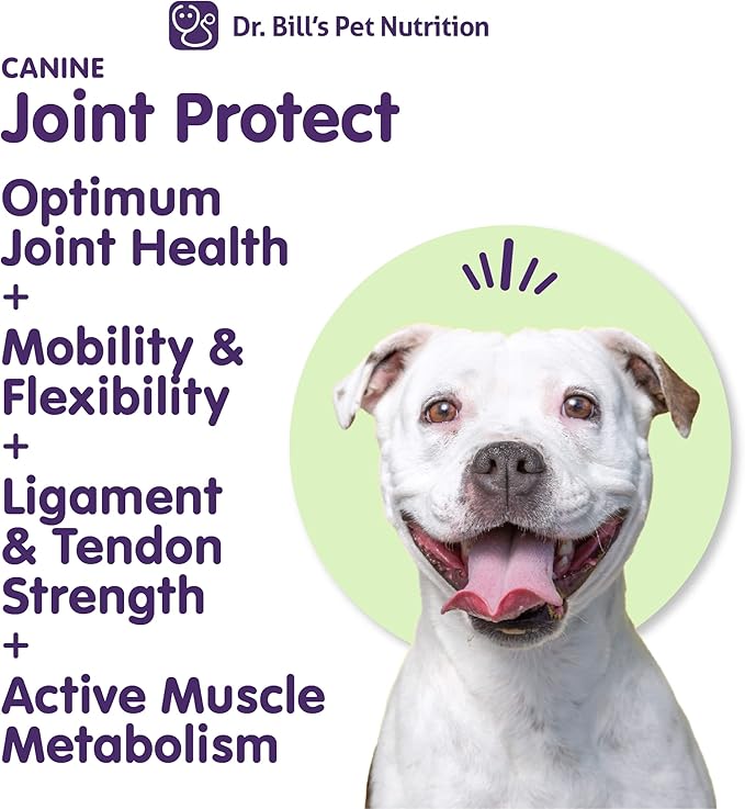 Dr. Bill’s Canine Joint Protect | Joint Support for Dogs | Pet Supplement for Ligament & Tendon Strength | Collagen Type II, Hyaluronic Acid, Eggshell Membrane and L-Glutamine