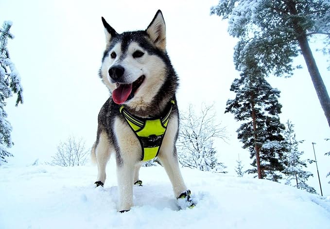 TRUE LOVE Truelove Adjustable No-Pull Dog Harness Reflective Pup Vest Harnesses Comfortable Control Brilliant Colors TLH5651(Neon Yellow,XS)