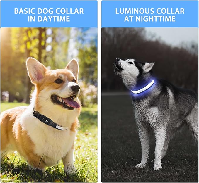 PcEoTllar Light up Dog Collar Lights for Night Walking - LED Dog Collar Light Rechargeable Color Changing, Glow in The Dark Dog Collars Waterproof Glowing Dog Collars for Large Small Medium Dogs