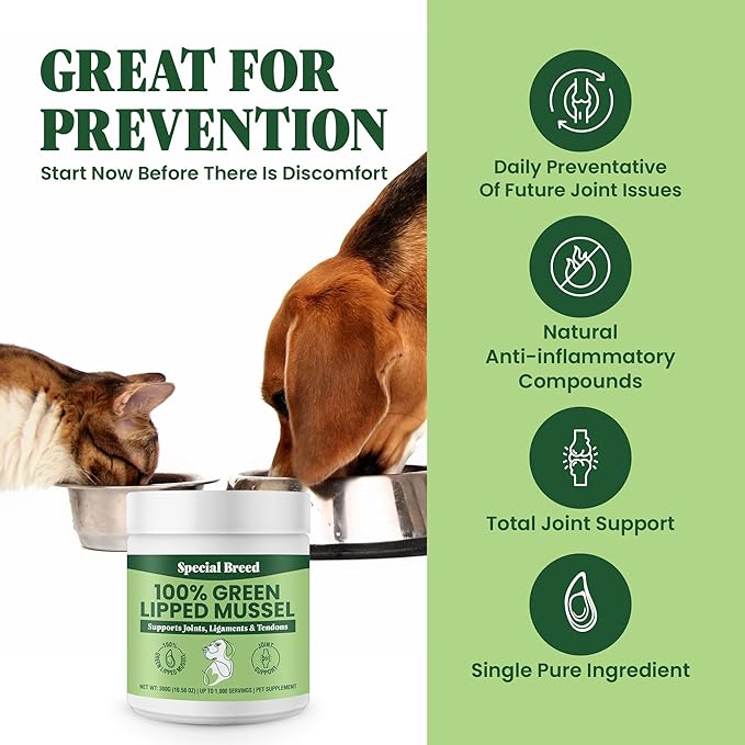 Green Lipped Mussel Powder for Dogs & Cats - 100% New Zealand Green Lipped Mussels - Natural Hip & Joint Supplement for Joints, Tendons, Ligaments, Muscles - 300 Grams - Up to 1,000 Servings