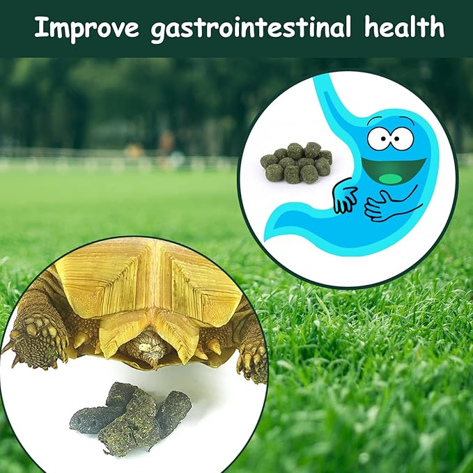 Timothy Hay Cubes 40 oz (4 * 10 oz) with Small Size - Timothy Grass Pellets for Tortoises Rabbits Guinea Pig Chinchilla