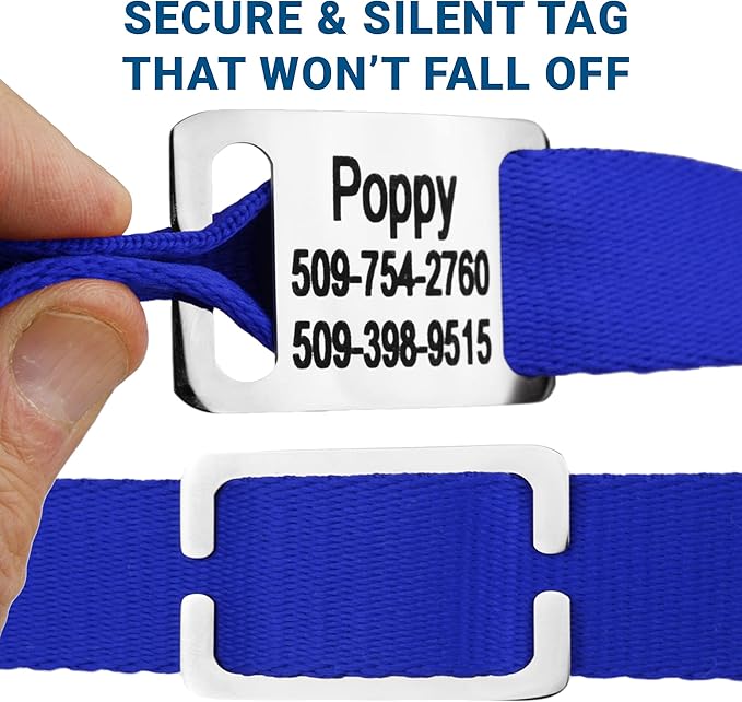 GoTags Personalized Dog Collar with Nameplate, Adjustable Dog Collar with Custom Engraved Slide On Pet ID Tag in Stainless Steel, Silent, No Noise Dog Tag for Large Medium and Small (Blue, X-Small)