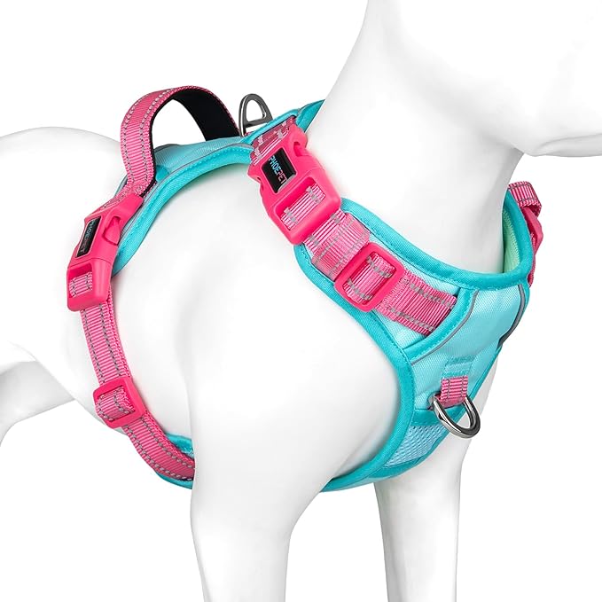 PHOEPET No Pull Dog Harness, Unique Colors Reflective Adjustable Dog Vest, with Soft Training Handle Metal Clips for Small Medium Large Dogs (Mint Green Base & Pink Straps,XL)
