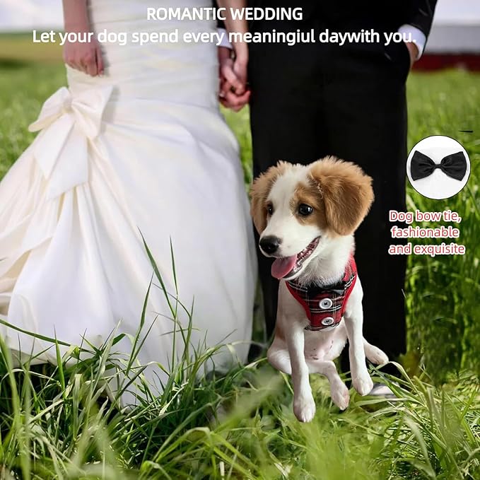 Dog Tuxedo for Wedding, Formal Pet Suit with Bow Tie and Leash, Adjustable Dog Costume for Small Medium Large Dogs, Birthday Christmas Halloween Party Apparel, M（8-14LB）