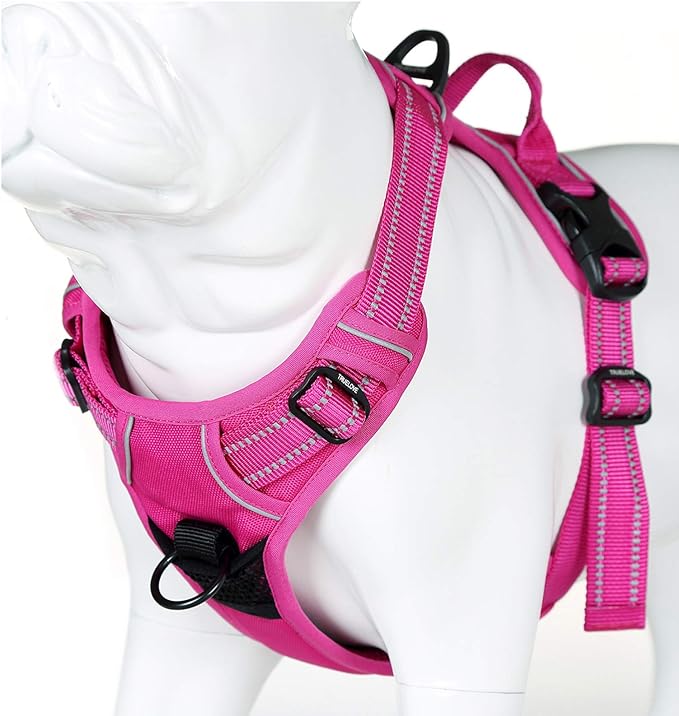 Truelove No Pull Dog Harness with Easy Control Handle and 2 Leash Attachments,Reflective Adjustable Pet Vest