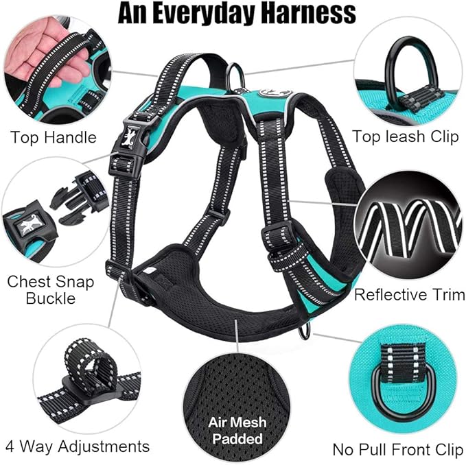 PoyPet No Pull Dog Harness, Reflective Comfortable Vest Harness with Front & Back 2 Leash Attachments and Easy Control Handle Adjustable Soft Padded Pet Vest for Small to Large Dogs (Mint Blue,S)