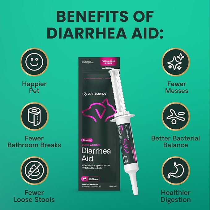 VetriScience Quick Action Diarrhea Aid Paste with Probiotics & B Vitamins, Fast Balance Digestive Support Supplement for Dogs and Cats, Gut Balancer, Help Stop Diarrhea, Unflavored, 35 cc