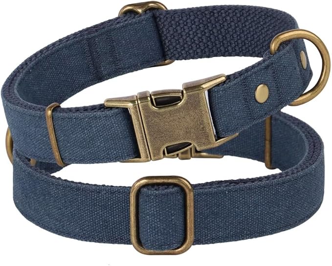 PET ARTIST Dog Collars for Small Dogs, Soft Padded Premium Nylon Dog Collar with Quick Release Metal Buckle, Durable & Adjustable Pet Collars for Boy Gifts, Blue, S (Fit 10-16")