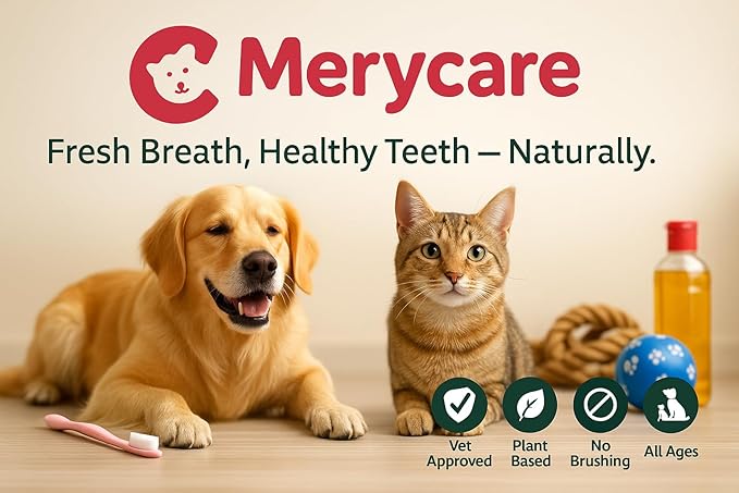 Pure Plaque Off Vet-Approved Dental Powder for Dogs & Cats | 100% Natural Teeth Cleaner with Seaweed | Plaque & Tartar Remover | Freshens Breath | No Brushing Needed (50g)