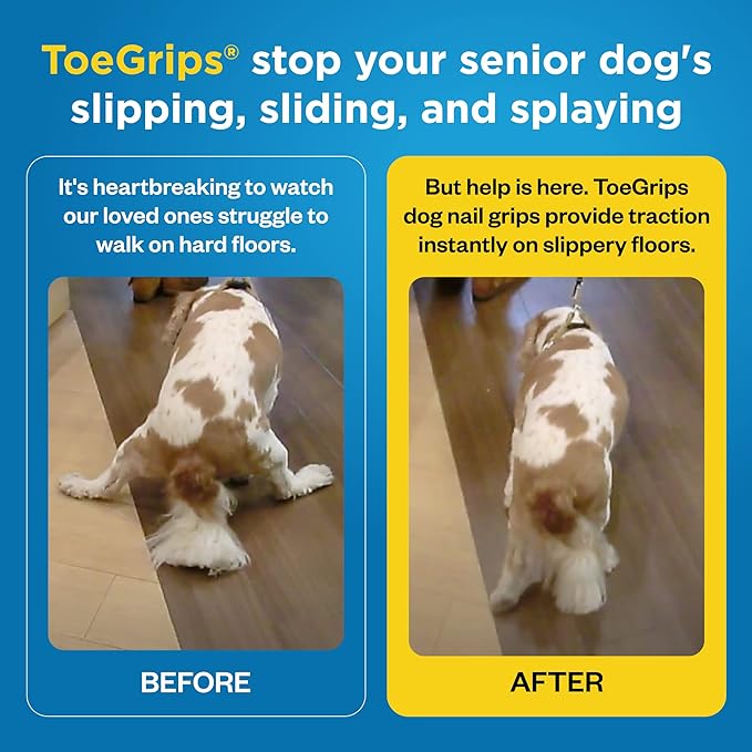 Dr Buzby's Small ToeGrips for Dogs - Instant Traction on Wood/Hardwood Floors - Anti Slip Relief - Grippers for Senior Dogs - Stop Sliding Instantly - Rubber Nails for Paws - 1 Pack (20 Grips)