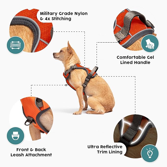 Embark Adventure Dog Harness, No-Pull Reflective Trim Dog Harness for Small, Medium & Large Dogs - Military Grade Nylon, 2 Leash Clips & Gel Lined Handle. Soft & Padded Puppy Dog Vest for Any Breed