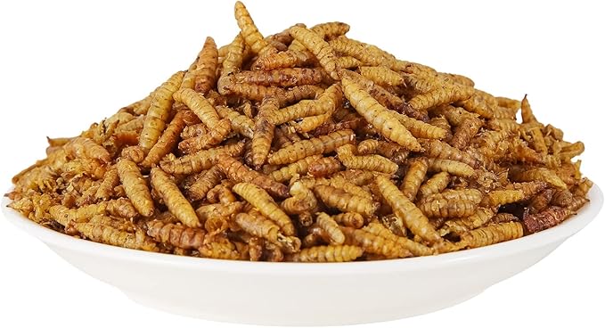 Dried Black Soldier Fly Larvae 20LBS, 85X More Calcium Than Mealworms High-Protein BSF Larvae Chicken Treats Non-GMO BSFL for Chickens, Hens, Ducks, Wild Birds