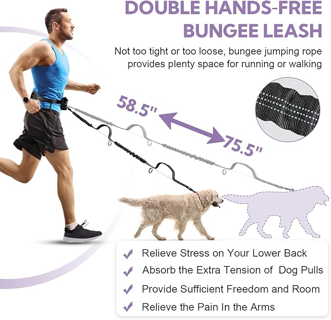 Hands Free Dog Leash, Shcok Abosoring Bungee with Double Padded Handles, Waist Leash for Dog Walking, Dog Leash with Bungee for Medium & Large Dog, Dog Walking Accessories, Black Purple